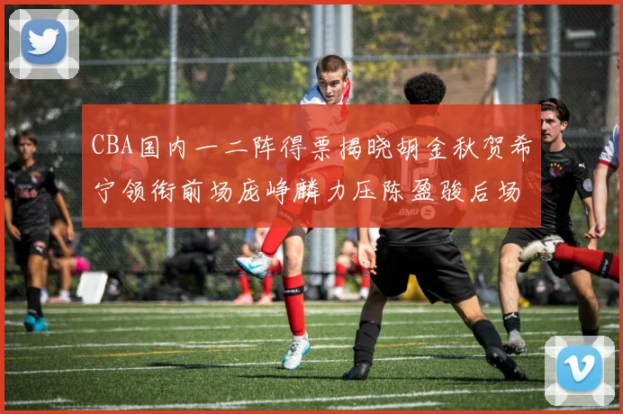 CBA国内一二阵得票揭晓胡金秋贺希宁领衔前场庞峥麟力压陈盈骏后场