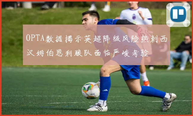 OPTA数据揭示英超降级风险热刺西汉姆伯恩利狼队面临严峻考验