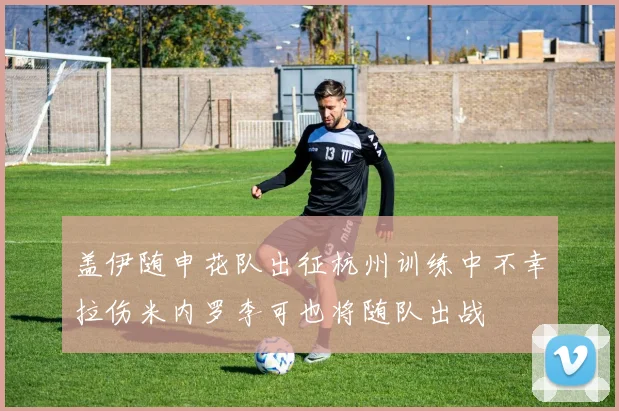 盖伊随申花队出征杭州训练中不幸拉伤米内罗李可也将随队出战