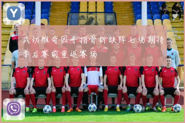 武切维奇因手指骨折缺阵七场期待季后赛前重返赛场